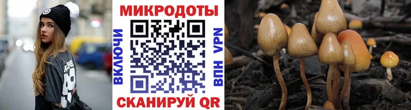 Галлюциногенные грибы Psilocybe  МЕГА рабочий сайт  Симферополь 