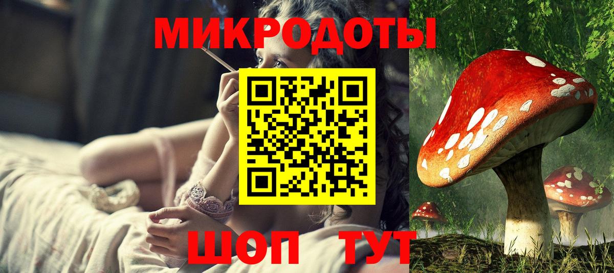 купить наркотик  Симферополь  Галлюциногенные грибы Psilocybe 
