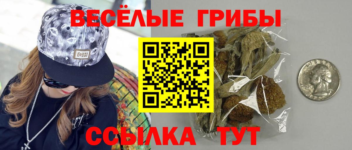 Галлюциногенные грибы MAGIC MUSHROOMS  Вход с VPN  Симферополь 