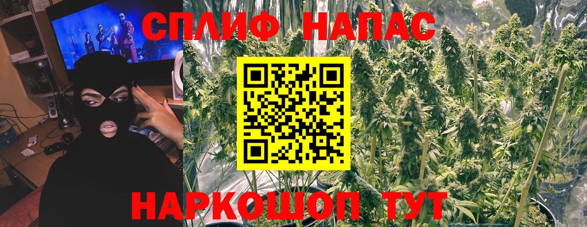 Канабис Amnesia  Симферополь  Каннабис White Widow  Канабис сатива 